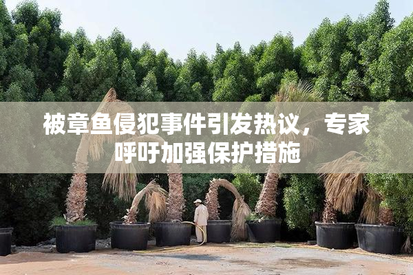 被章鱼侵犯事件引发热议，专家呼吁加强保护措施