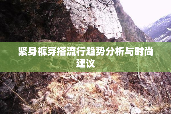 紧身裤穿搭流行趋势分析与时尚建议
