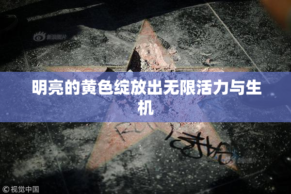 明亮的黄色绽放出无限活力与生机