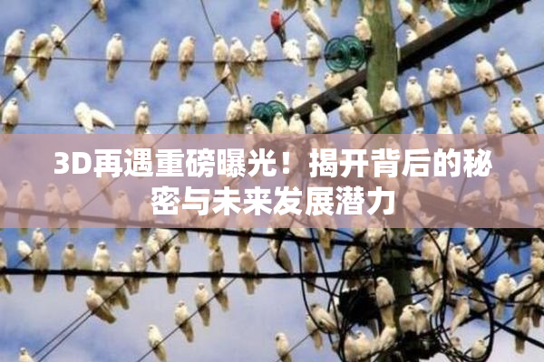 3D再遇重磅曝光！揭开背后的秘密与未来发展潜力