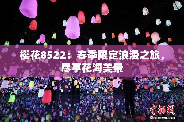 樱花8522：春季限定浪漫之旅，尽享花海美景