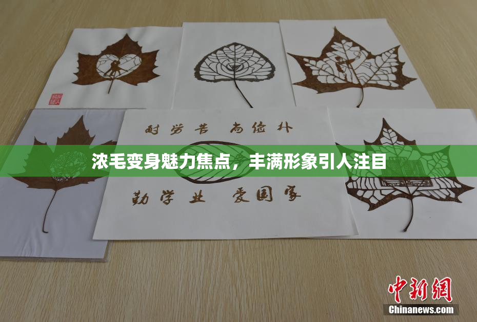 浓毛变身魅力焦点，丰满形象引人注目