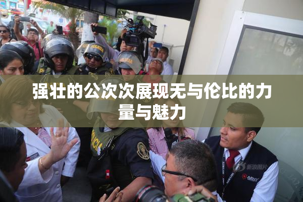 强壮的公次次展现无与伦比的力量与魅力