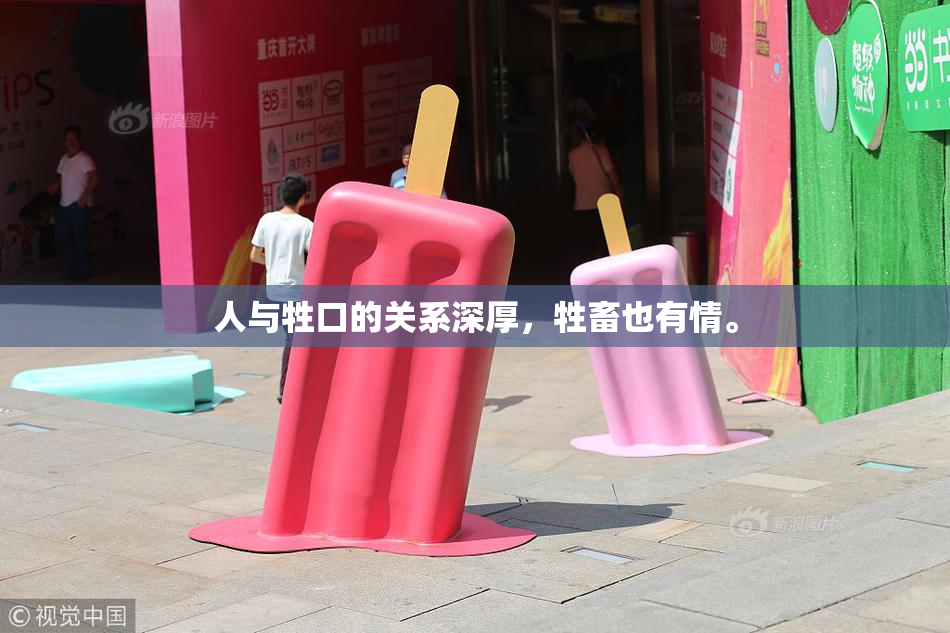 人与牲口的关系深厚，牲畜也有情。
