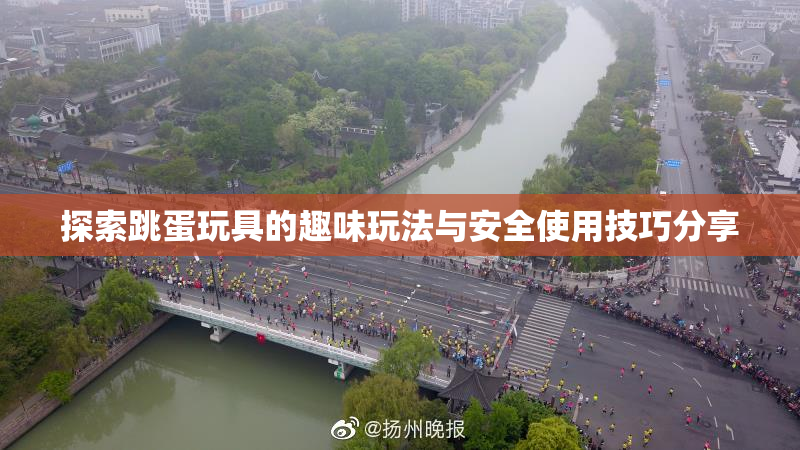 探索跳蛋玩具的趣味玩法与安全使用技巧分享