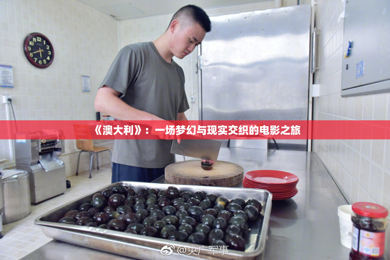 《澳大利》：一场梦幻与现实交织的电影之旅