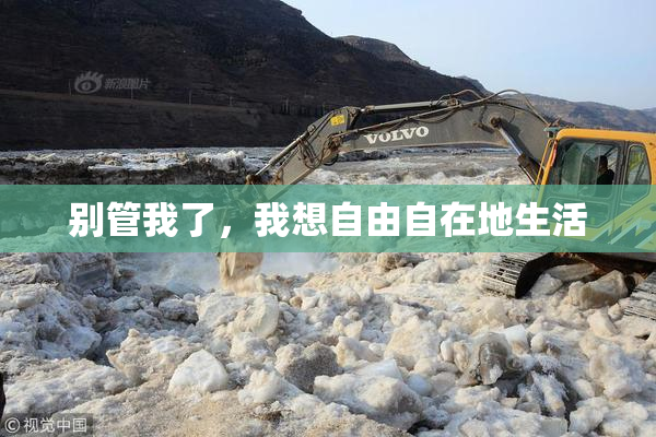 别管我了，我想自由自在地生活
