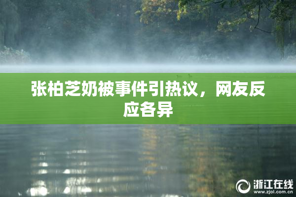 张柏芝奶被事件引热议，网友反应各异