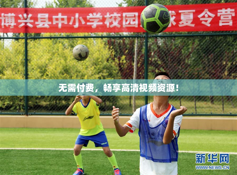 无需付费，畅享高清视频资源！