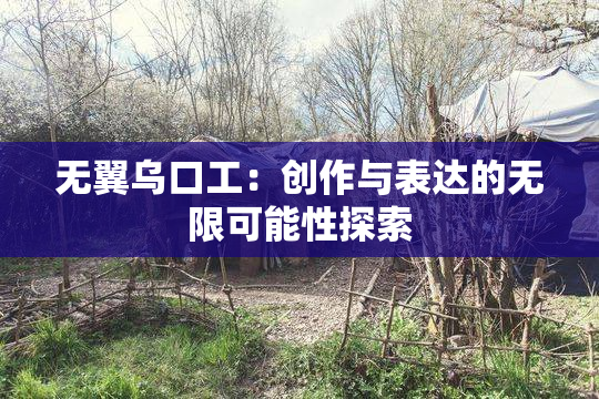 无翼乌口工：创作与表达的无限可能性探索