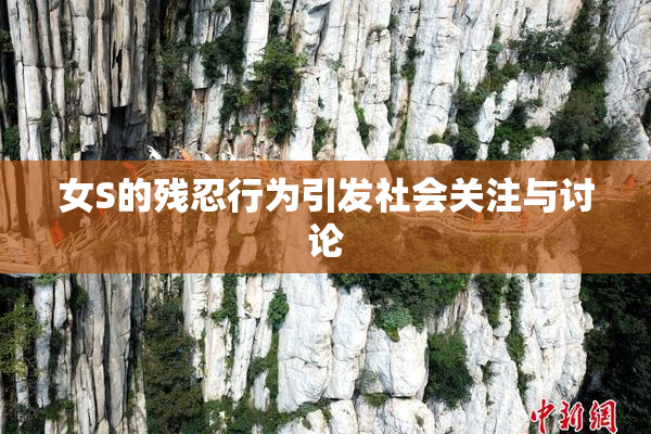女S的残忍行为引发社会关注与讨论