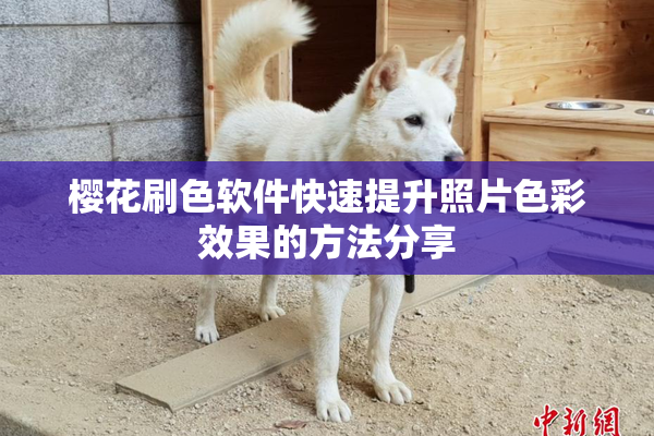 樱花刷色软件快速提升照片色彩效果的方法分享