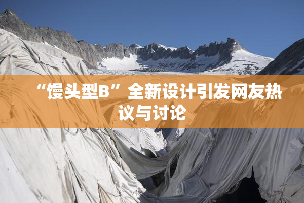 “馒头型B”全新设计引发网友热议与讨论