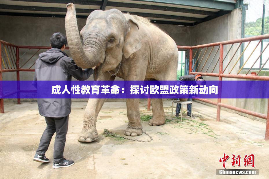 成人性教育革命：探讨欧盟政策新动向