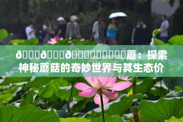 🍆🍑🔞❌‌❌‌❌‌蘑：探索神秘蘑菇的奇妙世界与其生态价值