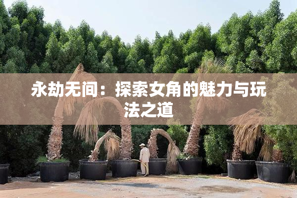永劫无间：探索女角的魅力与玩法之道