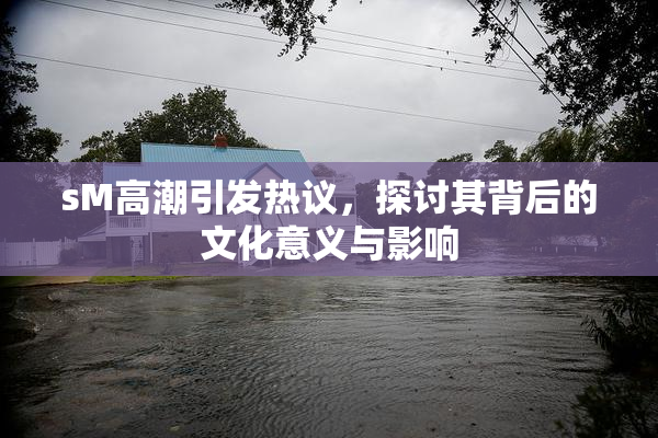sM高潮引发热议，探讨其背后的文化意义与影响