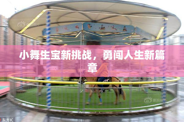 小舞生宝新挑战，勇闯人生新篇章