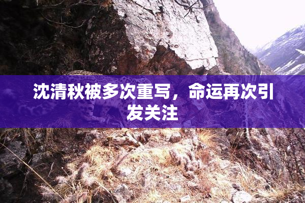 沈清秋被多次重写，命运再次引发关注