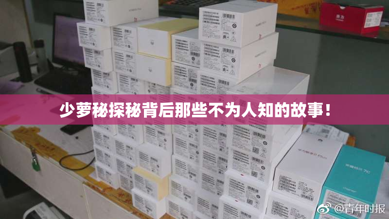 少萝秘探秘背后那些不为人知的故事！