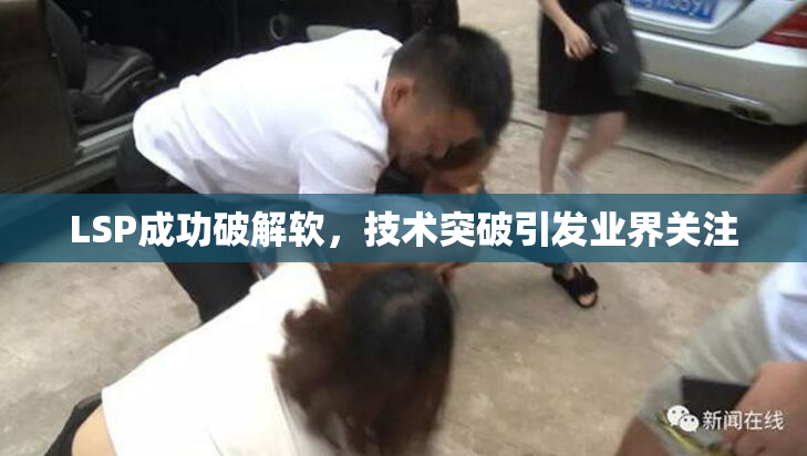 LSP成功破解软，技术突破引发业界关注