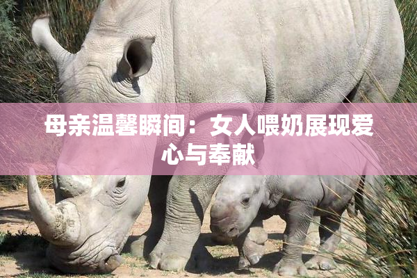 母亲温馨瞬间：女人喂奶展现爱心与奉献