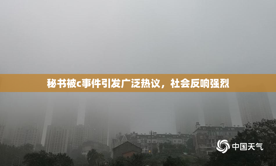 秘书被c事件引发广泛热议，社会反响强烈