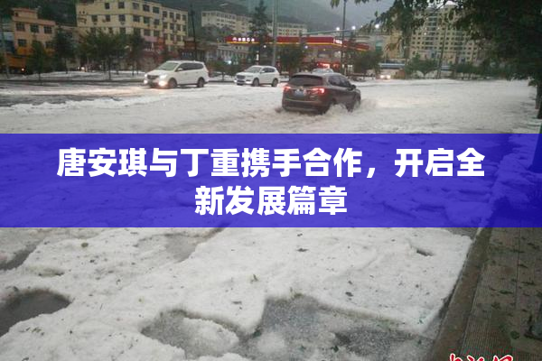 唐安琪与丁重携手合作，开启全新发展篇章