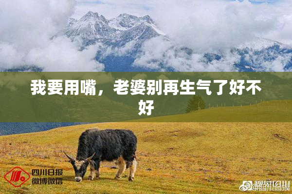 我要用嘴，老婆别再生气了好不好