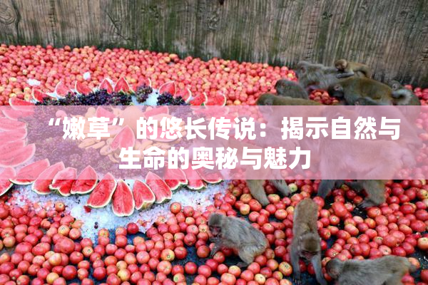 “嫩草”的悠长传说：揭示自然与生命的奥秘与魅力