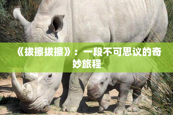 《拔擦拔擦》：一段不可思议的奇妙旅程