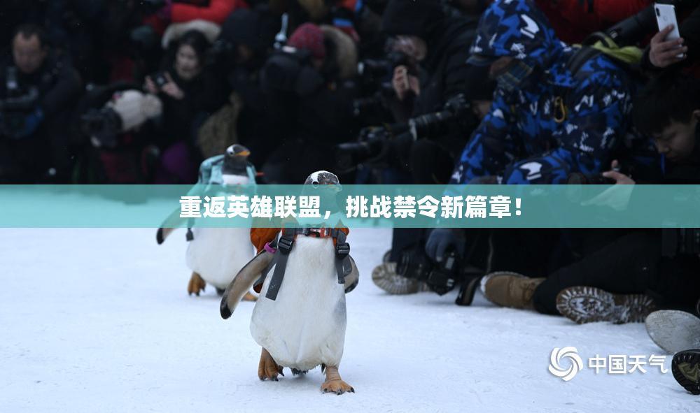 重返英雄联盟，挑战禁令新篇章！