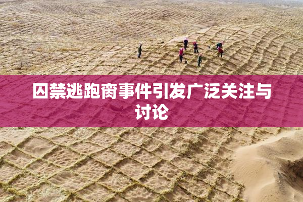 囚禁逃跑脔事件引发广泛关注与讨论