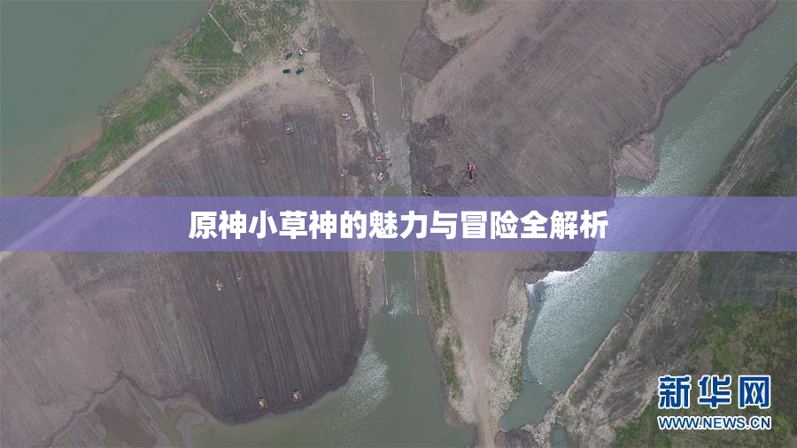 原神小草神的魅力与冒险全解析