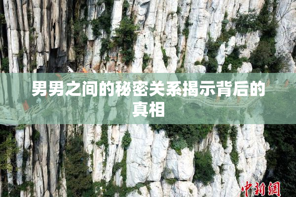 男男之间的秘密关系揭示背后的真相