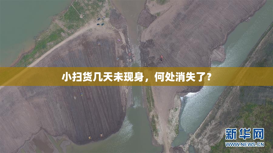 小扫货几天未现身，何处消失了？