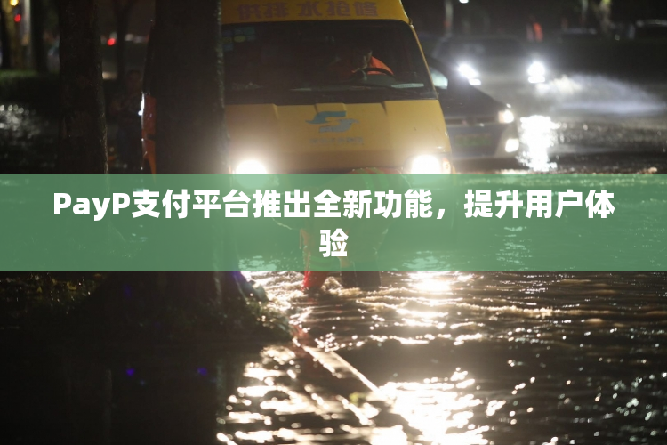 PayP支付平台推出全新功能，提升用户体验