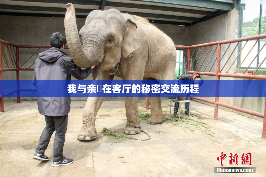 我与亲妺在客厅的秘密交流历程