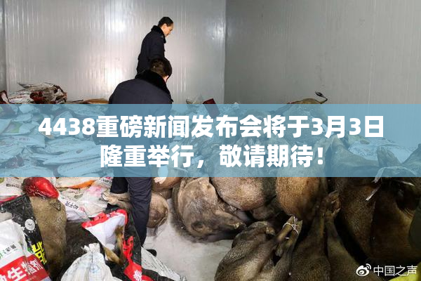 4438重磅新闻发布会将于3月3日隆重举行，敬请期待！