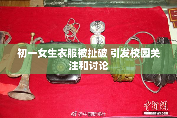 初一女生衣服被扯破 引发校园关注和讨论