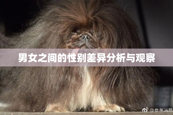 男女之间的性别差异分析与观察