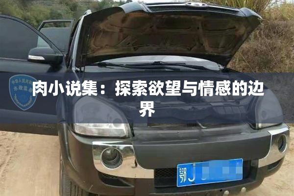肉小说集：探索欲望与情感的边界