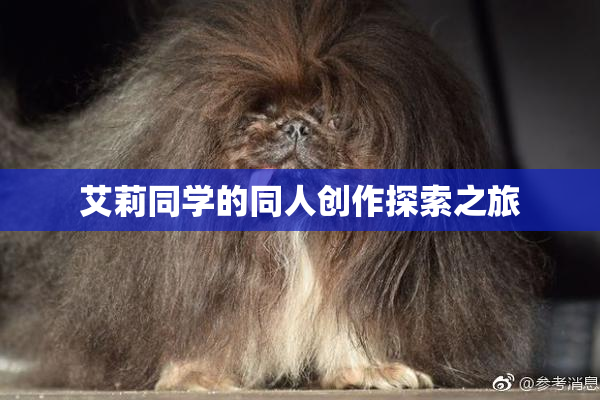 艾莉同学的同人创作探索之旅