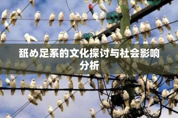 舐め足系的文化探讨与社会影响分析