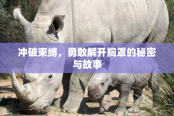 冲破束缚，勇敢解开胸罩的秘密与故事