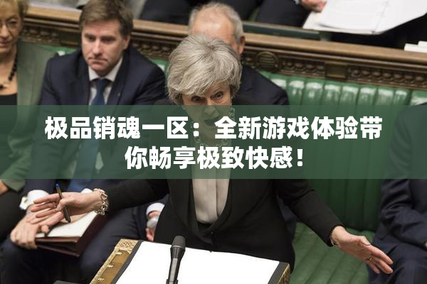 极品销魂一区：全新游戏体验带你畅享极致快感！