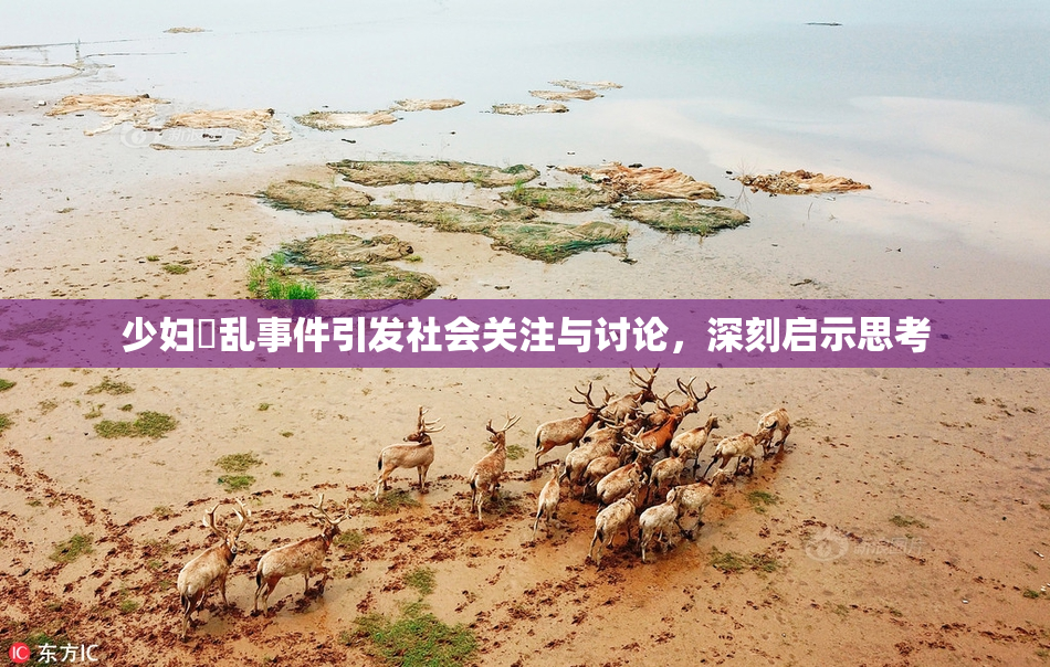 少妇婬乱事件引发社会关注与讨论，深刻启示思考