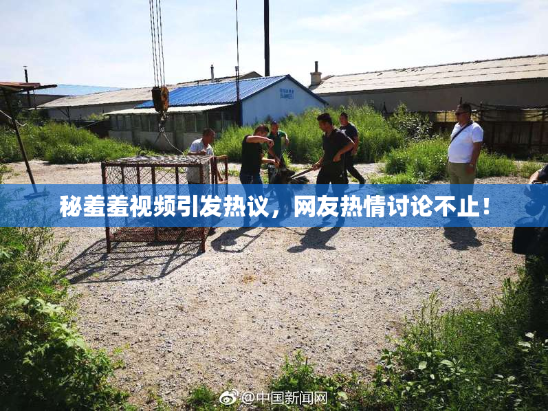 秘羞羞视频引发热议，网友热情讨论不止！