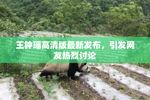 王钟瑶高清版最新发布，引发网友热烈讨论