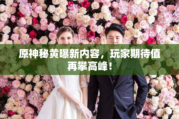 原神秘黄曝新内容，玩家期待值再攀高峰！